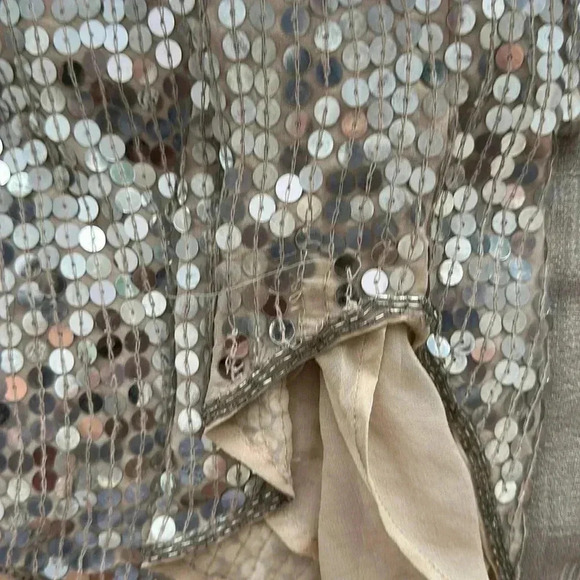 Haute Hippie XS Silver Sequence dress - Picture 9 of 12